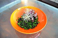 THE HIGHLANDER PENTHOUSE